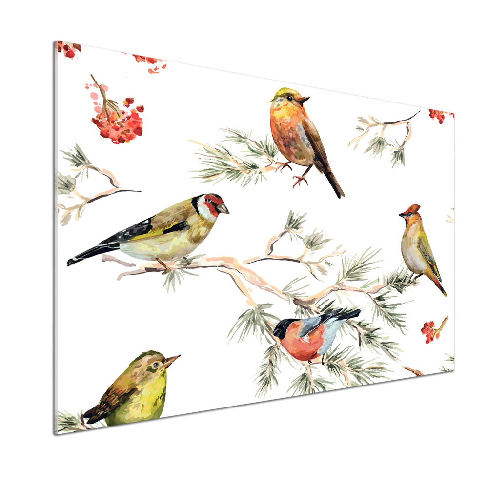 Cooker splashback Forest birds of plants