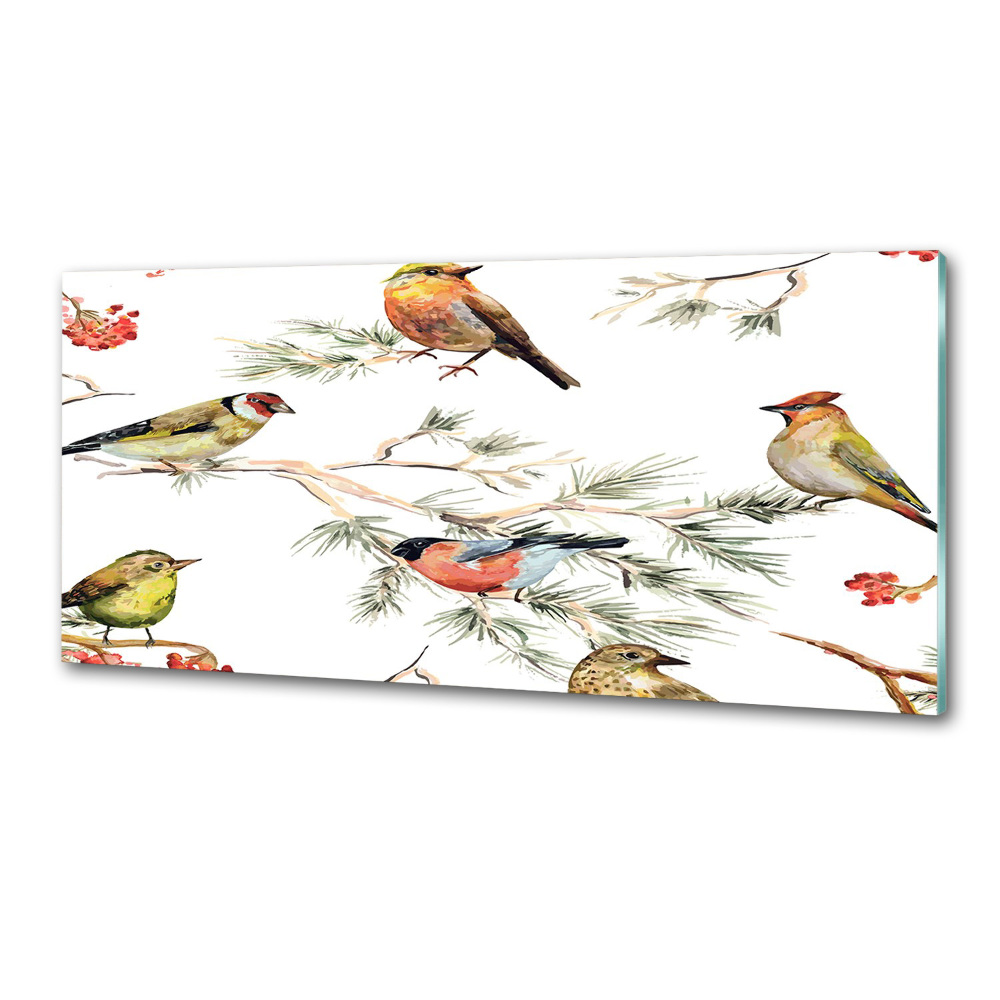 Cooker splashback Forest birds of plants