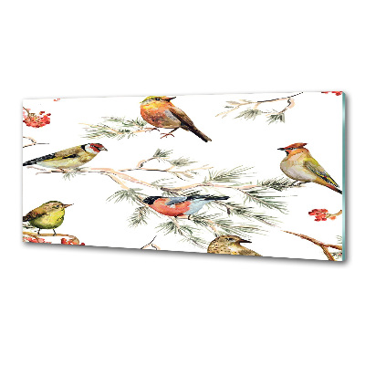 Cooker splashback Forest birds of plants