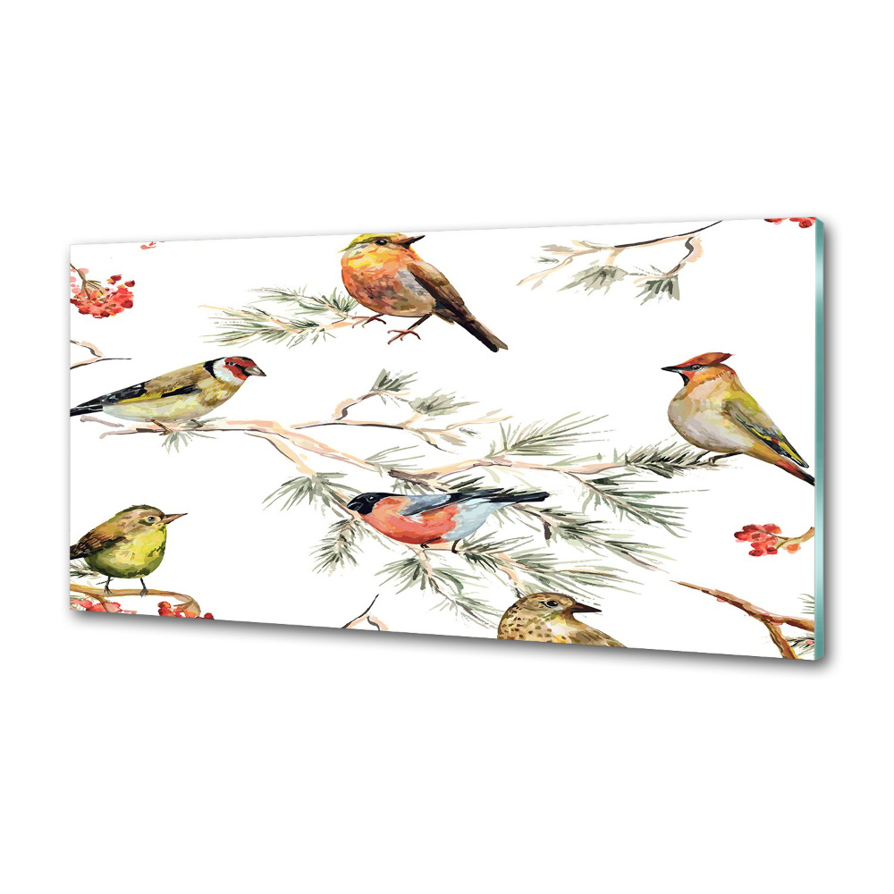 Cooker splashback Forest birds of plants