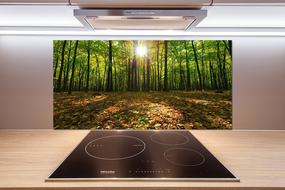 Kitchen splashback Forest