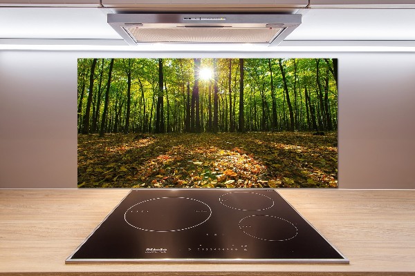 Kitchen splashback Forest