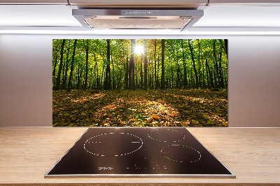 Kitchen splashback Forest