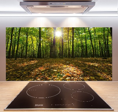 Kitchen splashback Forest