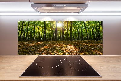 Kitchen splashback Forest