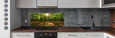 Kitchen splashback Forest