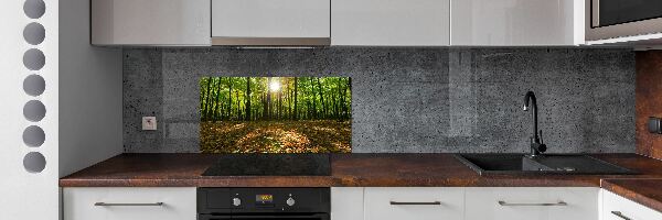 Kitchen splashback Forest