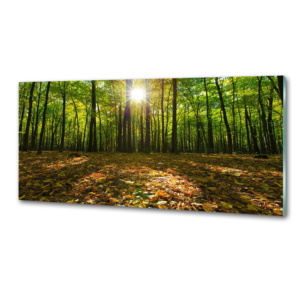 Kitchen splashback Forest