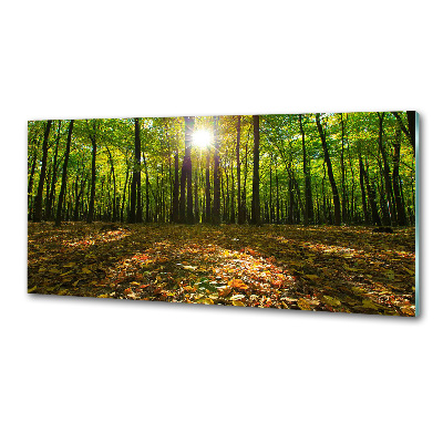 Kitchen splashback Forest