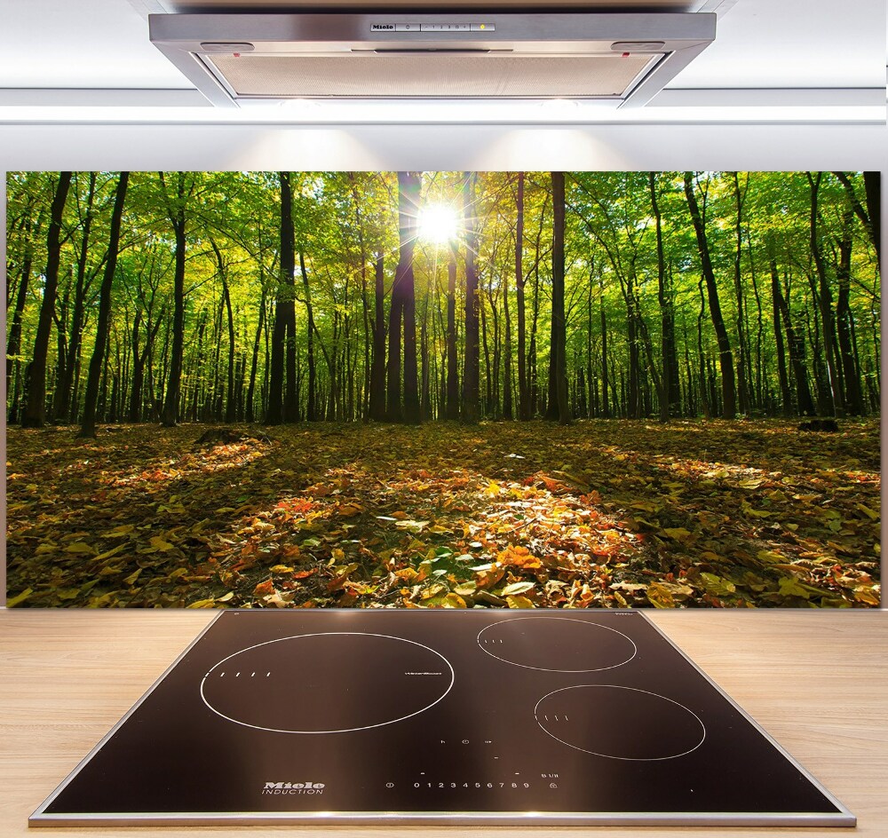 Kitchen splashback Forest