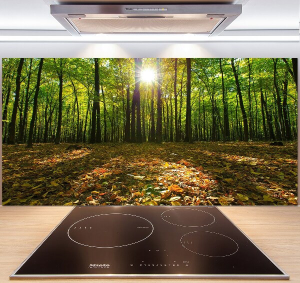 Kitchen splashback Forest