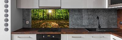 Kitchen splashback Forest