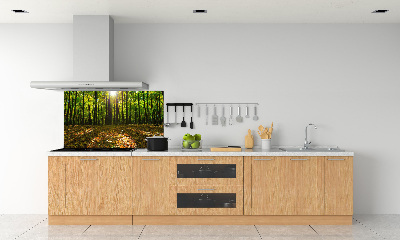 Kitchen splashback Forest