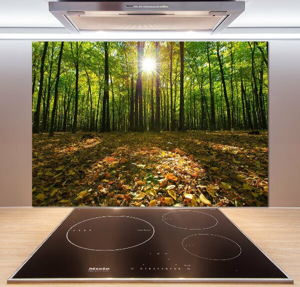 Kitchen splashback Forest