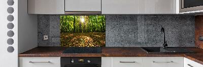 Kitchen splashback Forest