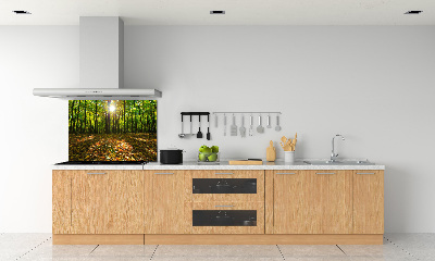 Kitchen splashback Forest