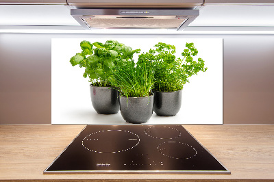 Cooker splashback Herbs in pots