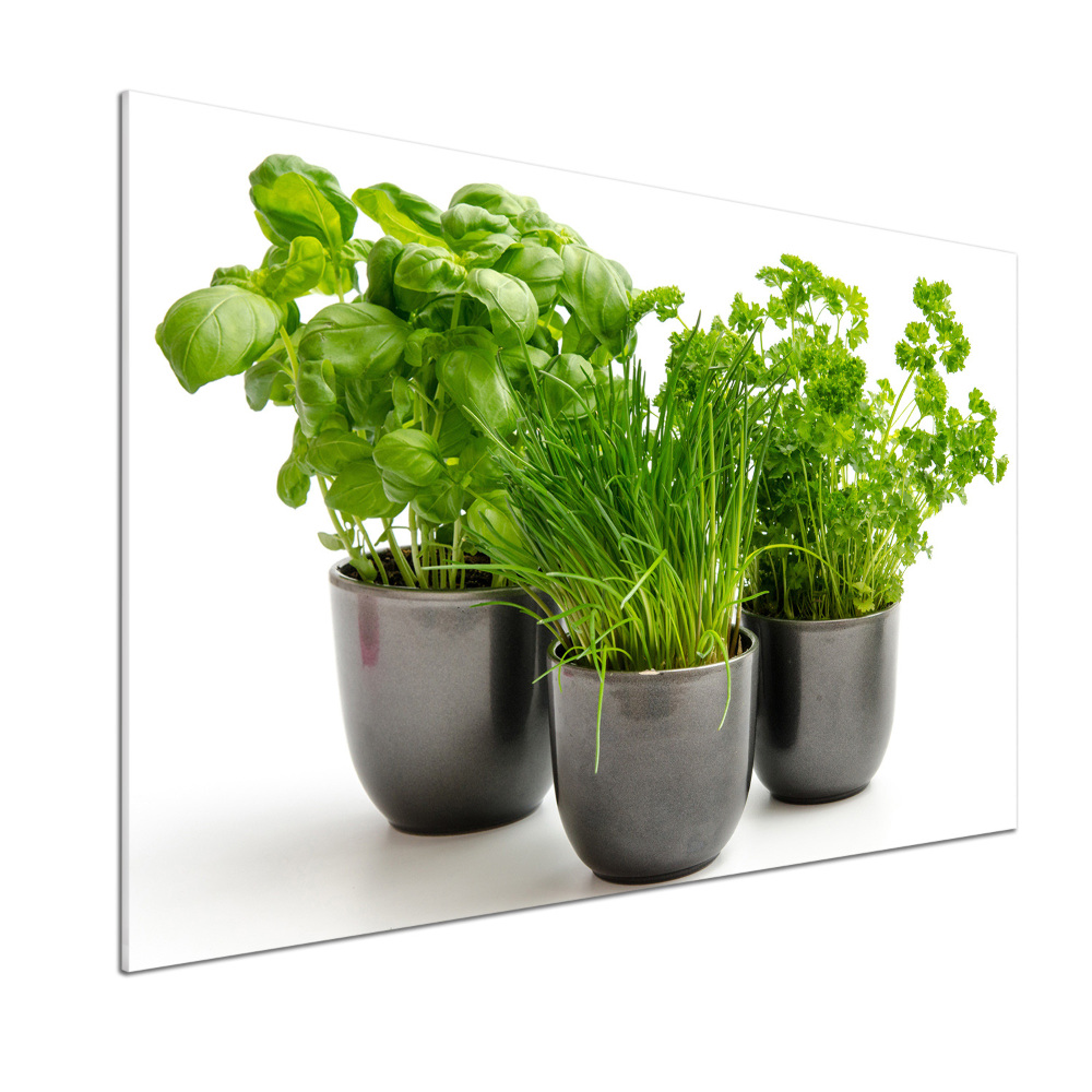 Cooker splashback Herbs in pots