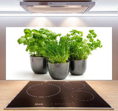 Cooker splashback Herbs in pots