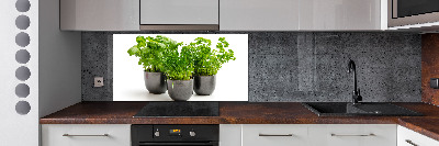 Cooker splashback Herbs in pots