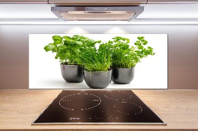 Cooker splashback Herbs in pots