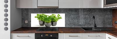 Cooker splashback Herbs in pots