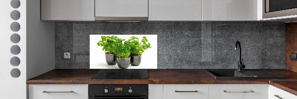 Cooker splashback Herbs in pots