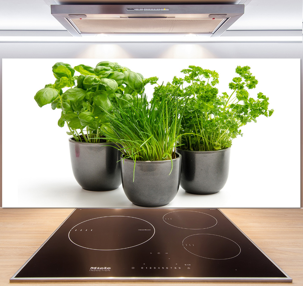 Cooker splashback Herbs in pots