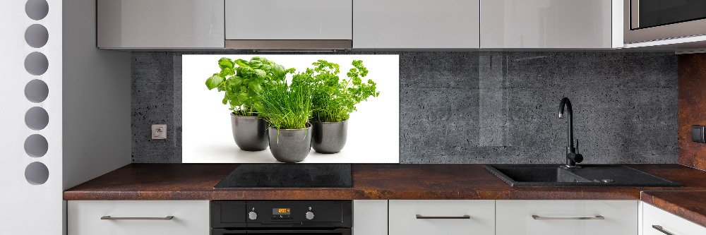 Cooker splashback Herbs in pots