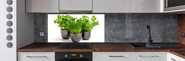 Cooker splashback Herbs in pots