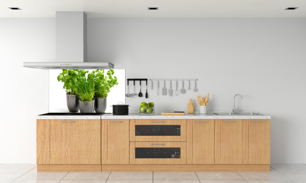 Cooker splashback Herbs in pots