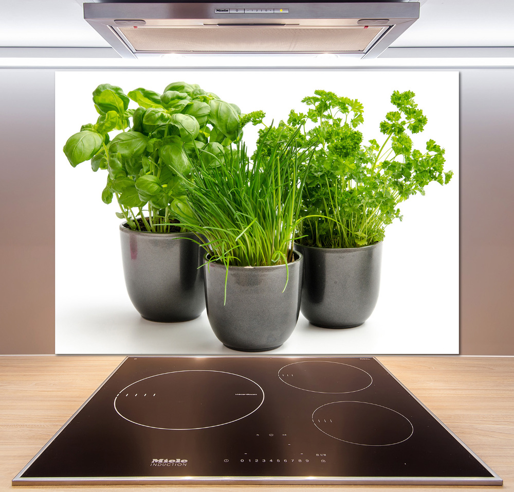 Cooker splashback Herbs in pots