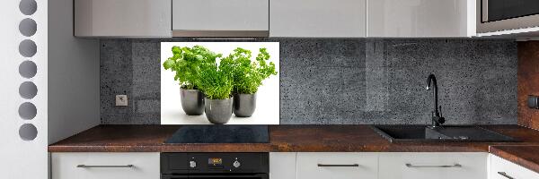 Cooker splashback Herbs in pots