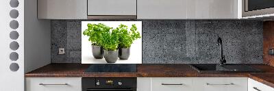 Cooker splashback Herbs in pots