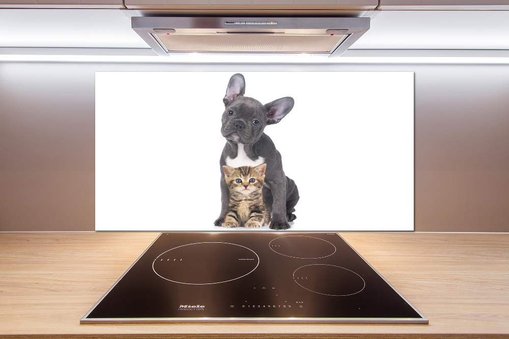 Cooker splashback Dog and cat