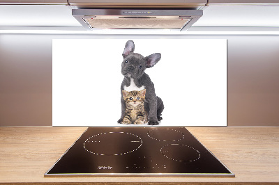 Cooker splashback Dog and cat