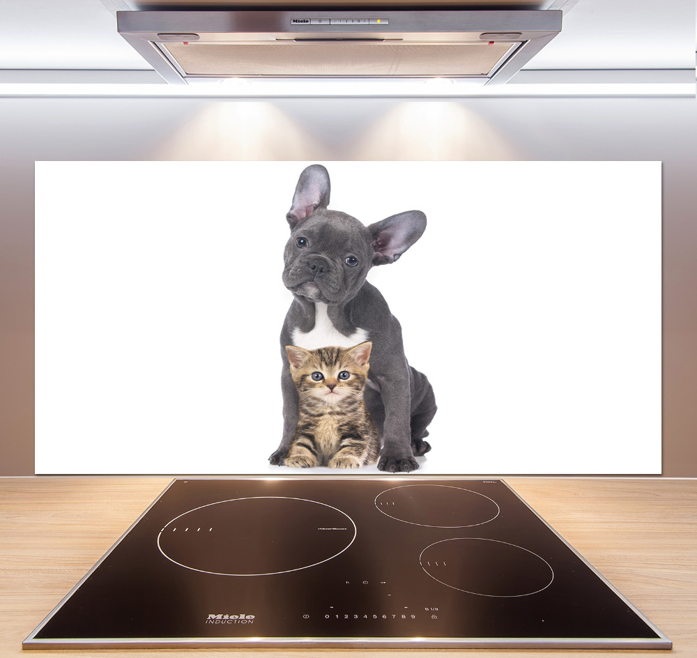 Cooker splashback Dog and cat