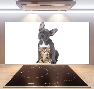 Cooker splashback Dog and cat