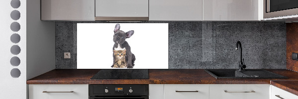 Cooker splashback Dog and cat