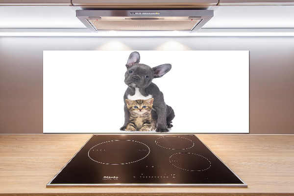 Cooker splashback Dog and cat