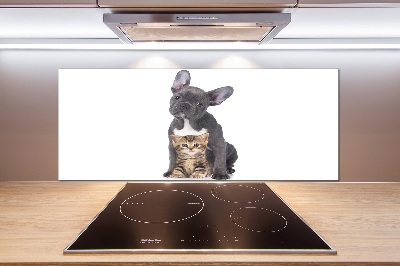 Cooker splashback Dog and cat