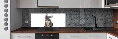 Cooker splashback Dog and cat