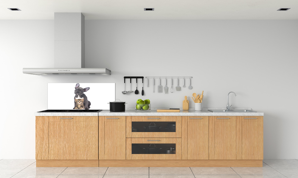 Cooker splashback Dog and cat