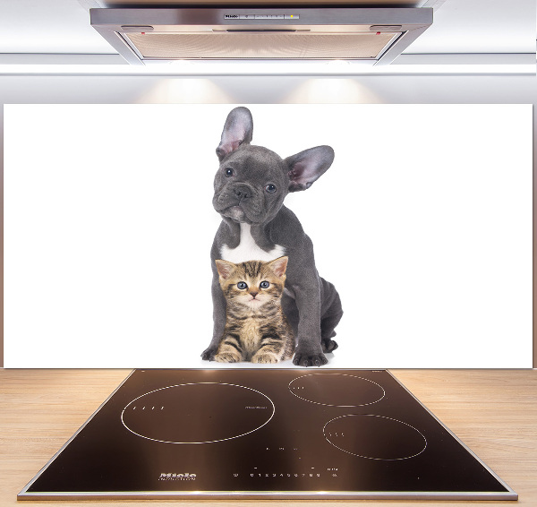 Cooker splashback Dog and cat