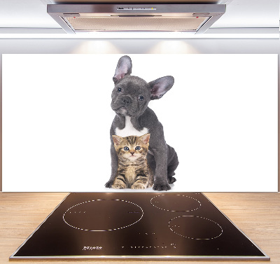 Cooker splashback Dog and cat