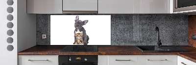 Cooker splashback Dog and cat