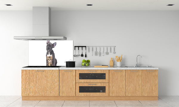 Cooker splashback Dog and cat