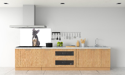 Cooker splashback Dog and cat