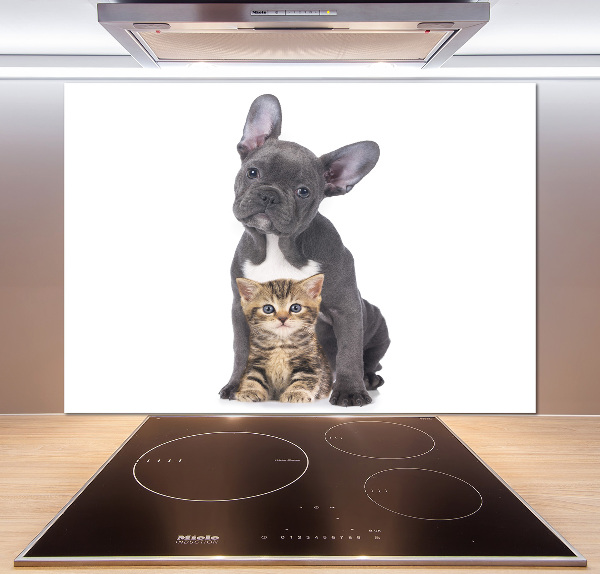 Cooker splashback Dog and cat