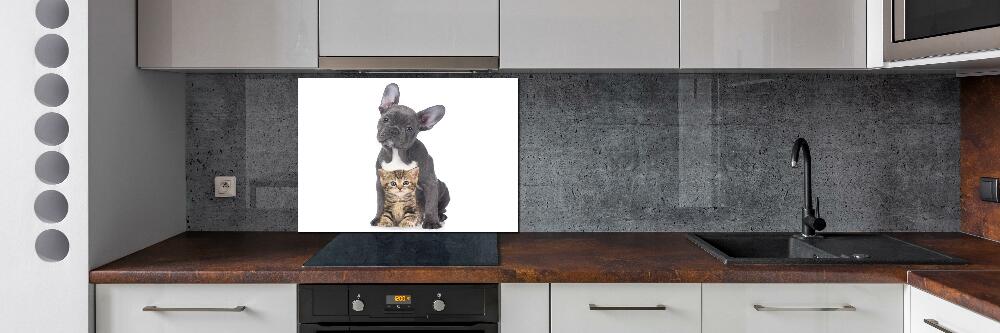 Cooker splashback Dog and cat